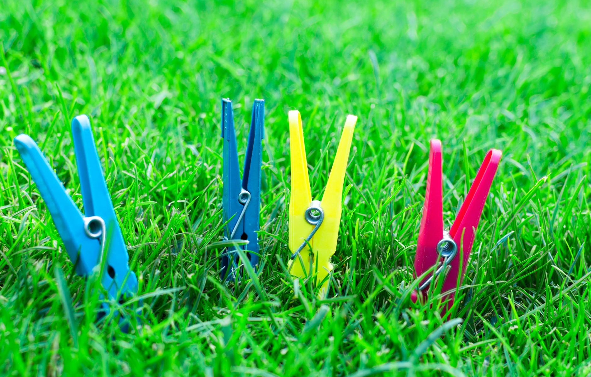 two blue one yellow and one pink clothes clips on green grass